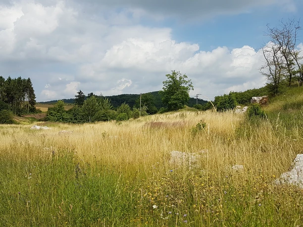 Landschaft an der Gipskule im Salzgitter Höhenzug