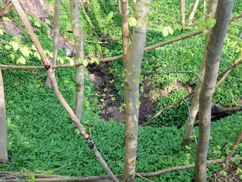 Bachschwinde in der Teufelsküche