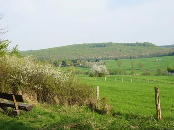 Blick ins Reitlingstal