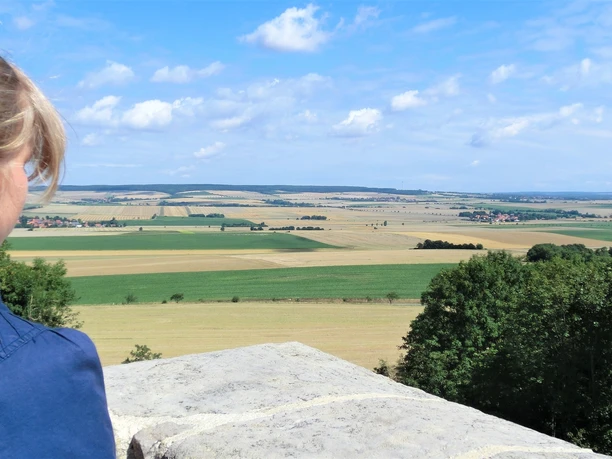 Blick vom Heesebergturm zum Elm