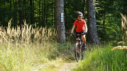 Trail am Bödner Teich
