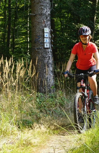 Trail am Bödner Teich