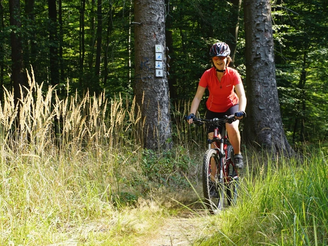 Trail am Bödner Teich