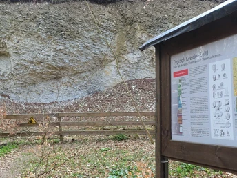 Geopfad Oderwald „Kreide-Kalkstein“