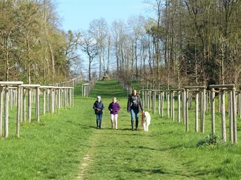 Auf dem Weg zum Schneckenberg