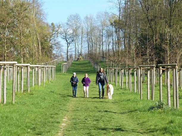 Auf dem Weg zum Schneckenberg