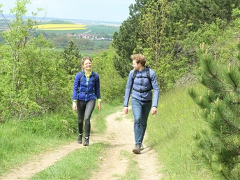 Auf dem Philosophenweg