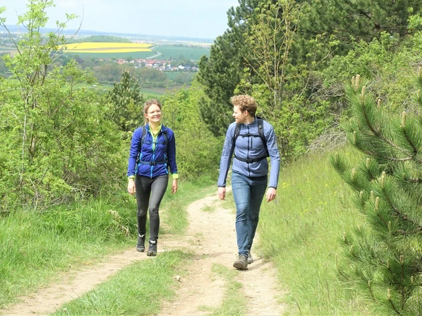 Auf dem Philosophenweg