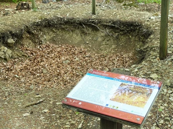 Schurf im Unteren Muschelkalk