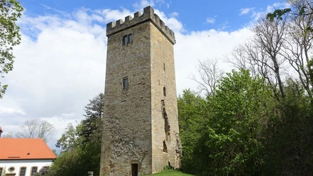 Bergfried auf dem Wohldenberg