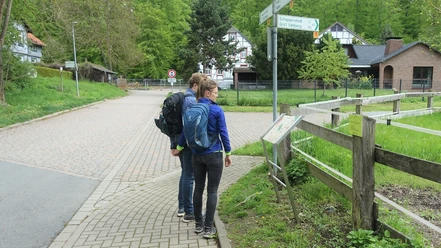 Auf dem Rothebach-Rundweg