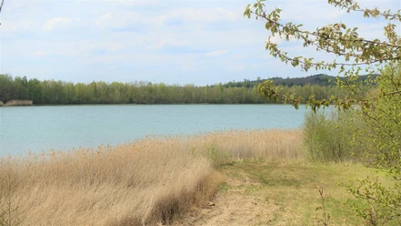Reihersee