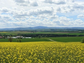 Aussichtspunkt mit Panoramablick