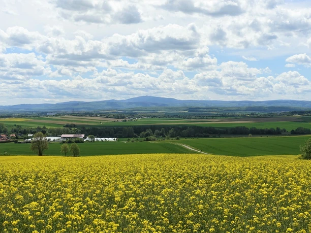 Aussichtspunkt mit Panoramablick