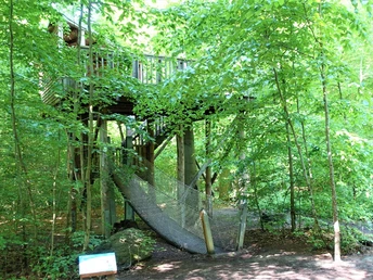 12 Löwe-Turm und Bohlenweg