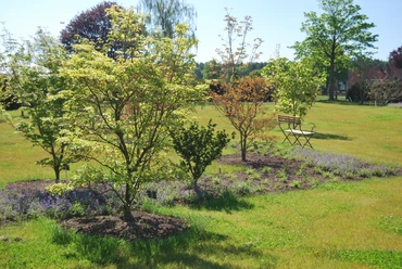 DSC_0013.JPG