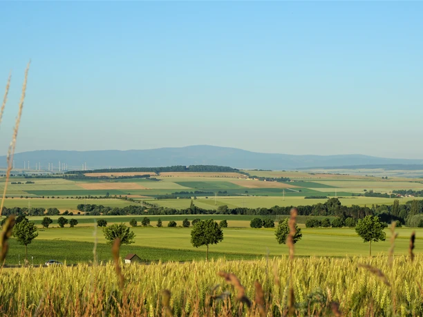 Blick auf Heeseberg und Brocken