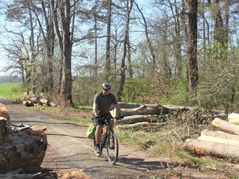 Auffahrt in den Oderwald