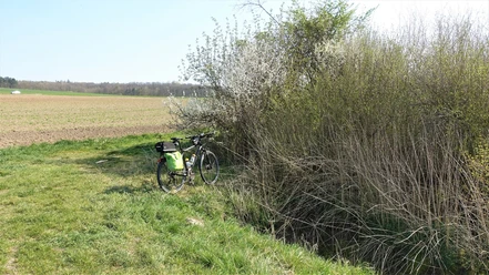 Fuhsequelle bei Klein Flöthe