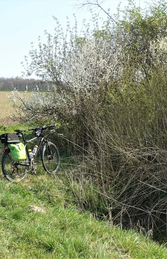 Fuhsequelle bei Klein Flöthe