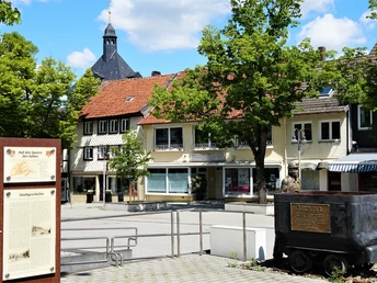 Salz und Eisenerz in Salzgitter-Bad