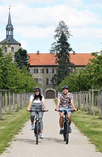 Lindenallee am Rittergut Lucklum