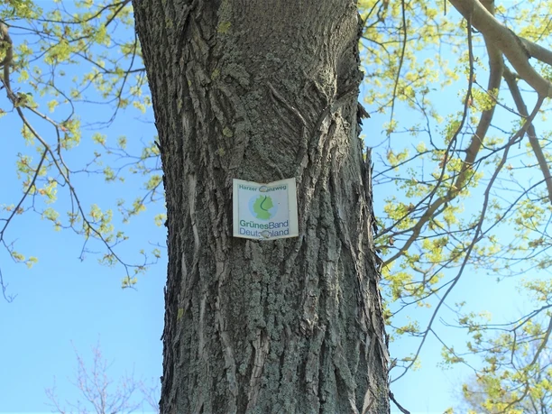 Grünes Band Deutschland im Altfeld bei Abbenrode