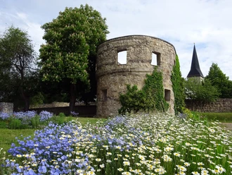 nordhausen-petersberggarten-Jessica-Piper.jpg