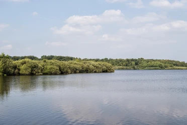 Bederkesaer See.jpg