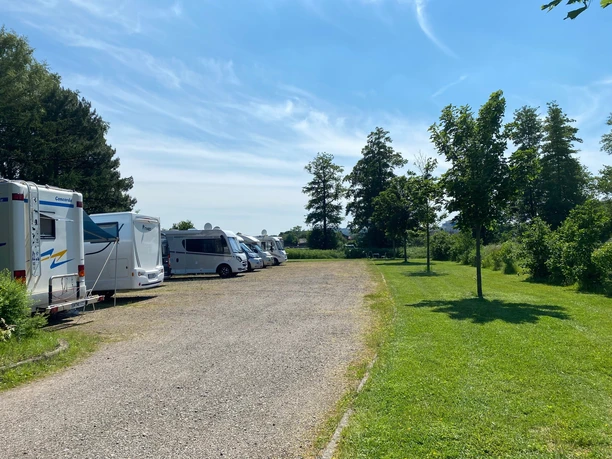 Wohnmobilstellplatz Rehburg Wohnmobilstellplatz mit mehreren Wohnmobilen, umgeben von Bäumen und Wiese unter blauem Himmel.