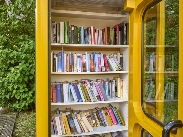 Bücherschrank Barnstorf