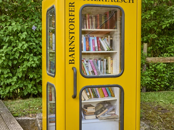 Bücherschrank Barnstorf