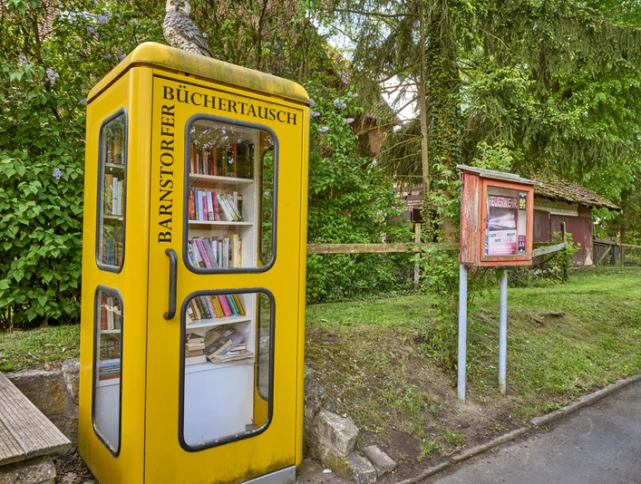 Bücherschrank Barnstorf