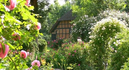 Meldorf_Rosengarten.jpg