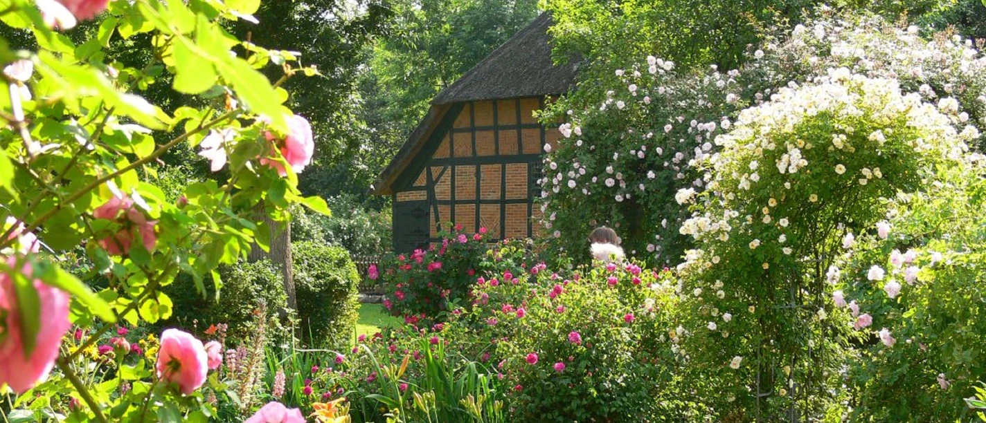 Meldorf_Rosengarten.jpg