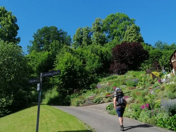 Wanderung zur Löwenburg (4).jpg