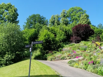 Wanderung zur Löwenburg (2).jpg