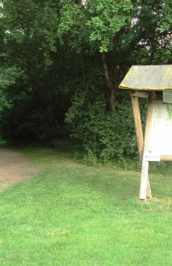 Waldeingang hinterm Thermalsolbad in Salzgitter-Bad