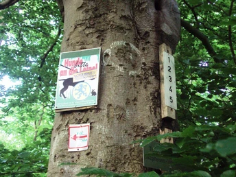Ausschilderung Wanderwege in Salzgitter-Bad