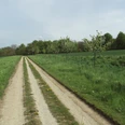 Wanderwege Salzgitter-Bad, Feldweg Strecke Nr. 4 und Nr. 6