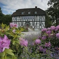 Mallinckrodthof im Frühjahr Fachwerkhaus umgeben von blühenden Rhododendren und Lavendel, an einem klaren Frühlingstag fotografiert.