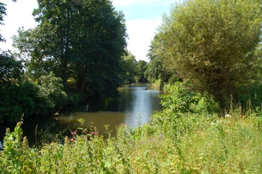 Fluss mit üppiger Vegetation an beiden Ufern, unter blauem Himmel, in einem Naturschutzgebiet.