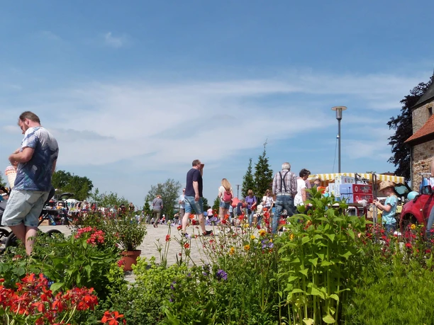 Menschen schlendern zwischen bunten Pflanzen und Verkaufsständen auf einem Freilufttrödelmarkt.