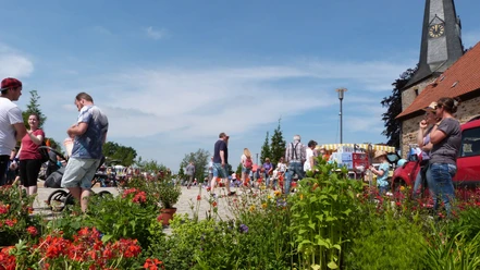 troedelmarkt-rehburg-pflanzen.JPG Menschen schlendern zwischen bunten Pflanzen und Verkaufsständen auf einem Freilufttrödelmarkt.