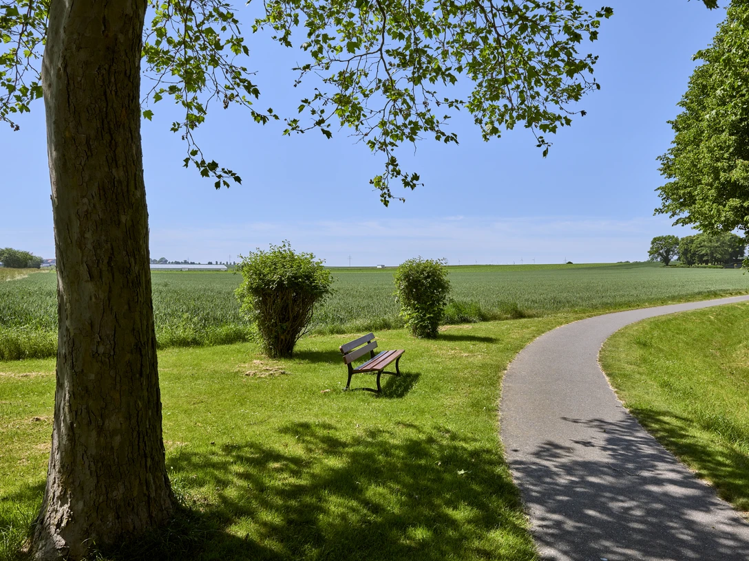 Rastplatz Ortsrand Winnigstedt Rastplatz Ortsrand Winnigstedt