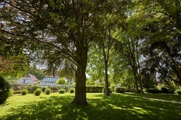 Picknickwiese bei den Aussiedlerhöfe Winnigstedt Picknickwiese bei den Aussiedlerhöfe Winnigstedt