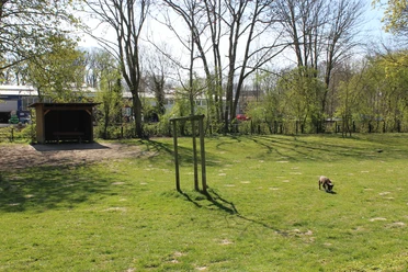 Otterndorf Hundewiese Stadtpark