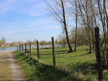 Otterndorf Hundewiese Westerwischer Weg