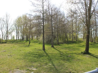 Otterndorf Hundewiese Westerwischer Weg