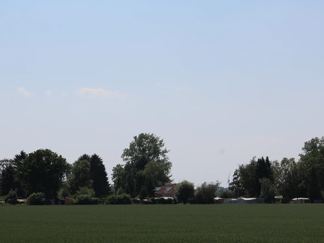 Naturresort Weserinsel Blick über ein Feld auf eine von Bäumen gesäumte Landschaft, im Hintergrund ein rotes Dach.
